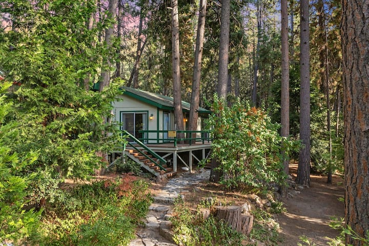 Secluded Cozy Cottage: Walk To Town, Private - Idyllwild-Pine Cove, CA