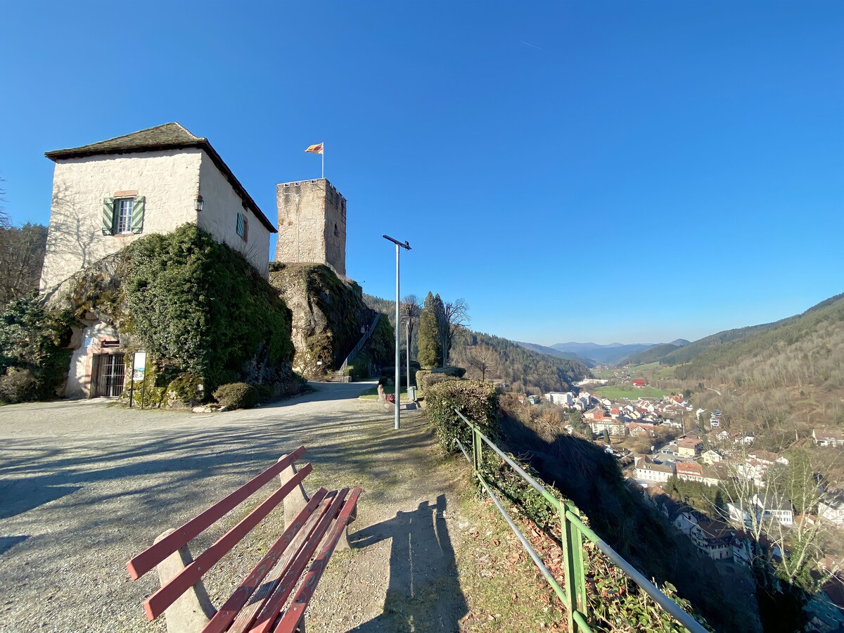 A view of a historical building and a tower set against a clear blue sky. The landscape reveals a valley, showcasing greenery and residential areas in the distance. A red bench provides a resting spot, with a path leading through the scene, inviting outdoor exploration.