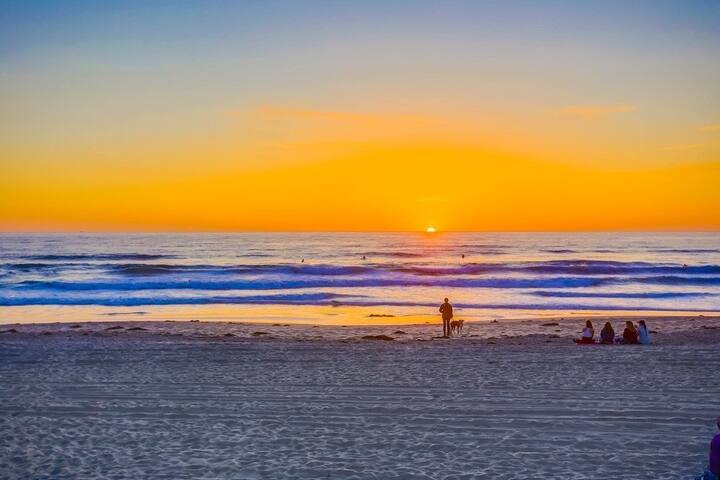 Ocean Front + 2 Private View Decks in Heart of MB gallery image 5