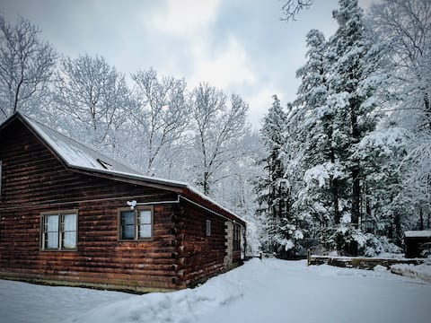 Enchanting dog-friendly cabin near hiking, skiing