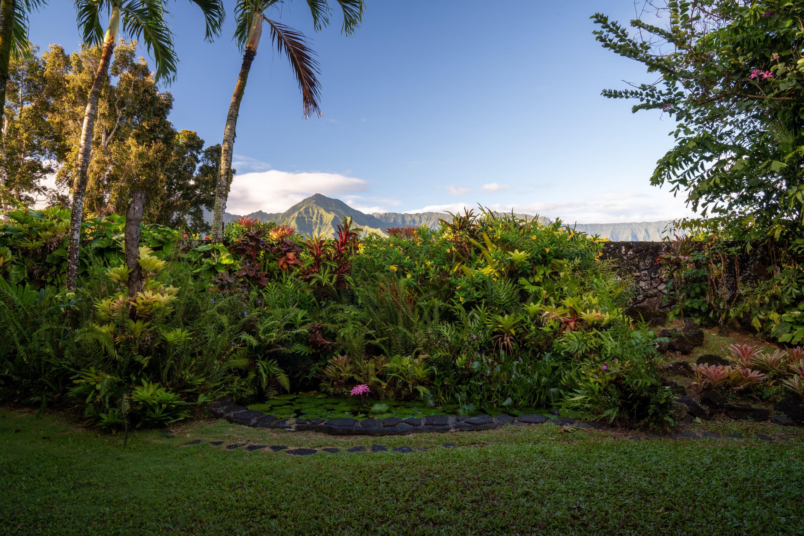 Home in Princeville · ★4.96 · 3 bedrooms · 3 beds · 2 baths - Image 28