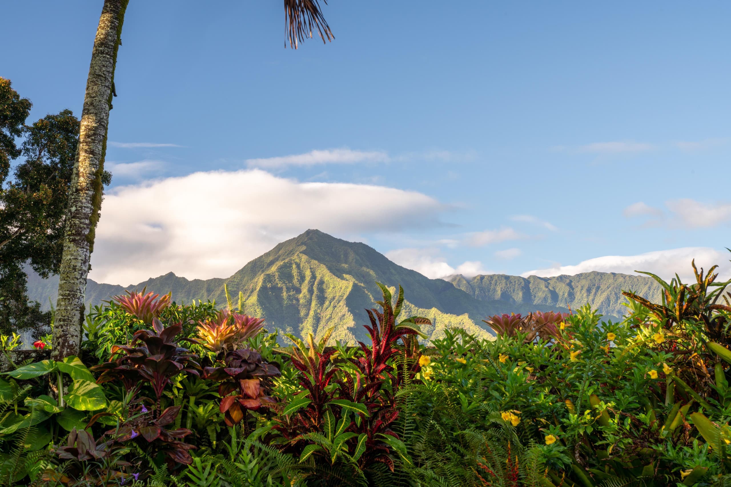 Home in Princeville · ★4.96 · 3 bedrooms · 3 beds · 2 baths - Image 27