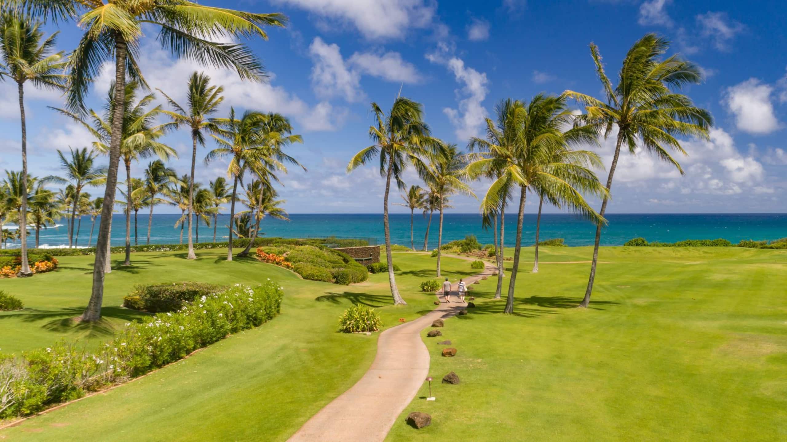 Condo in Koloa · ★4.96 · 1 bedroom · 2 beds · 1 bath - Image 29