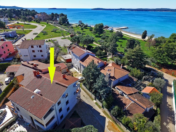 Apartment 85/142 - Pula