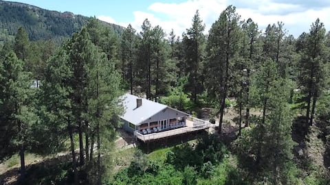 Updated Home on 2 Acres - 15 Minutes to Downtown D