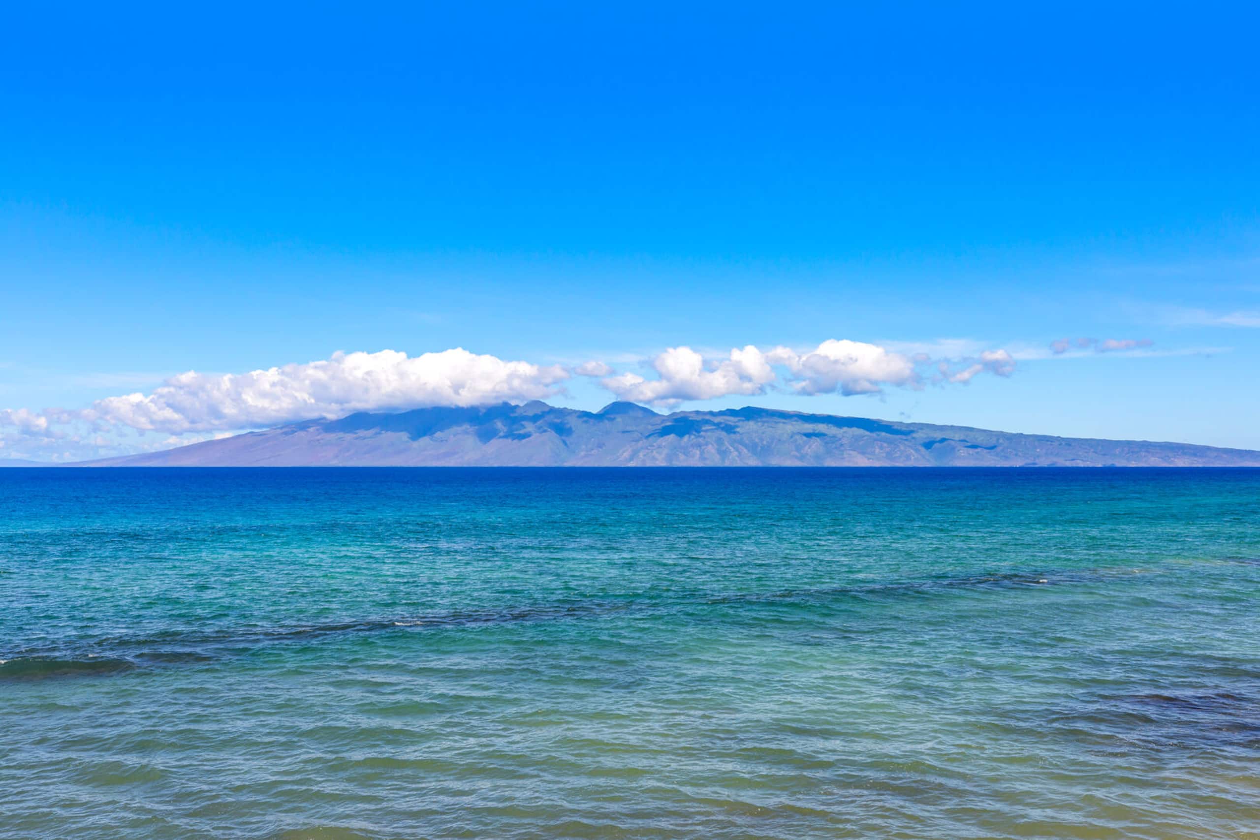 Condo in Lahaina · ★4.75 · 1 bedroom · 2 beds · 1 private bath - Image 32