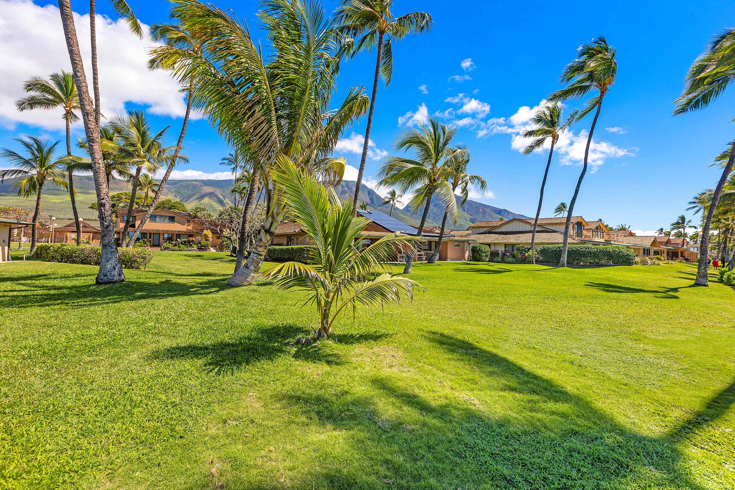 Townhouse in Lahaina · ★5.0 · 4 bedrooms · 3.5 baths - Image 37