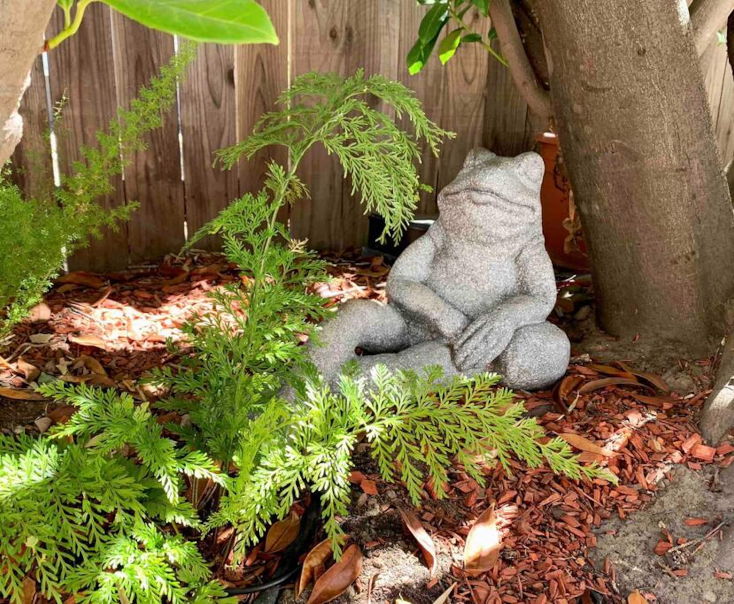 Little Paradise Private Sauna & Redwood Deck - Photo 24