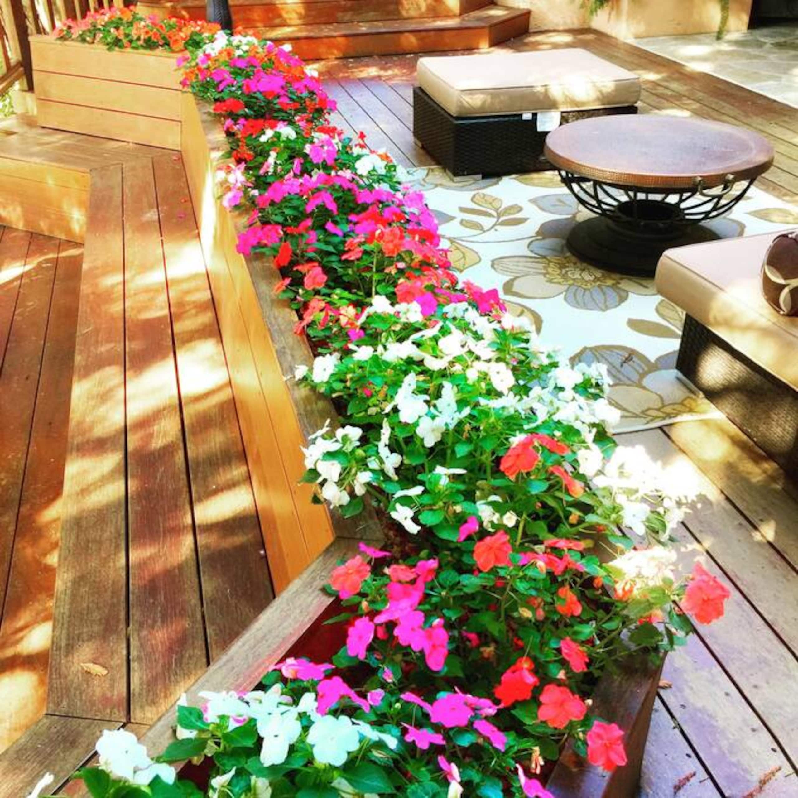 Little Paradise Private Sauna & Redwood Deck - Photo 9