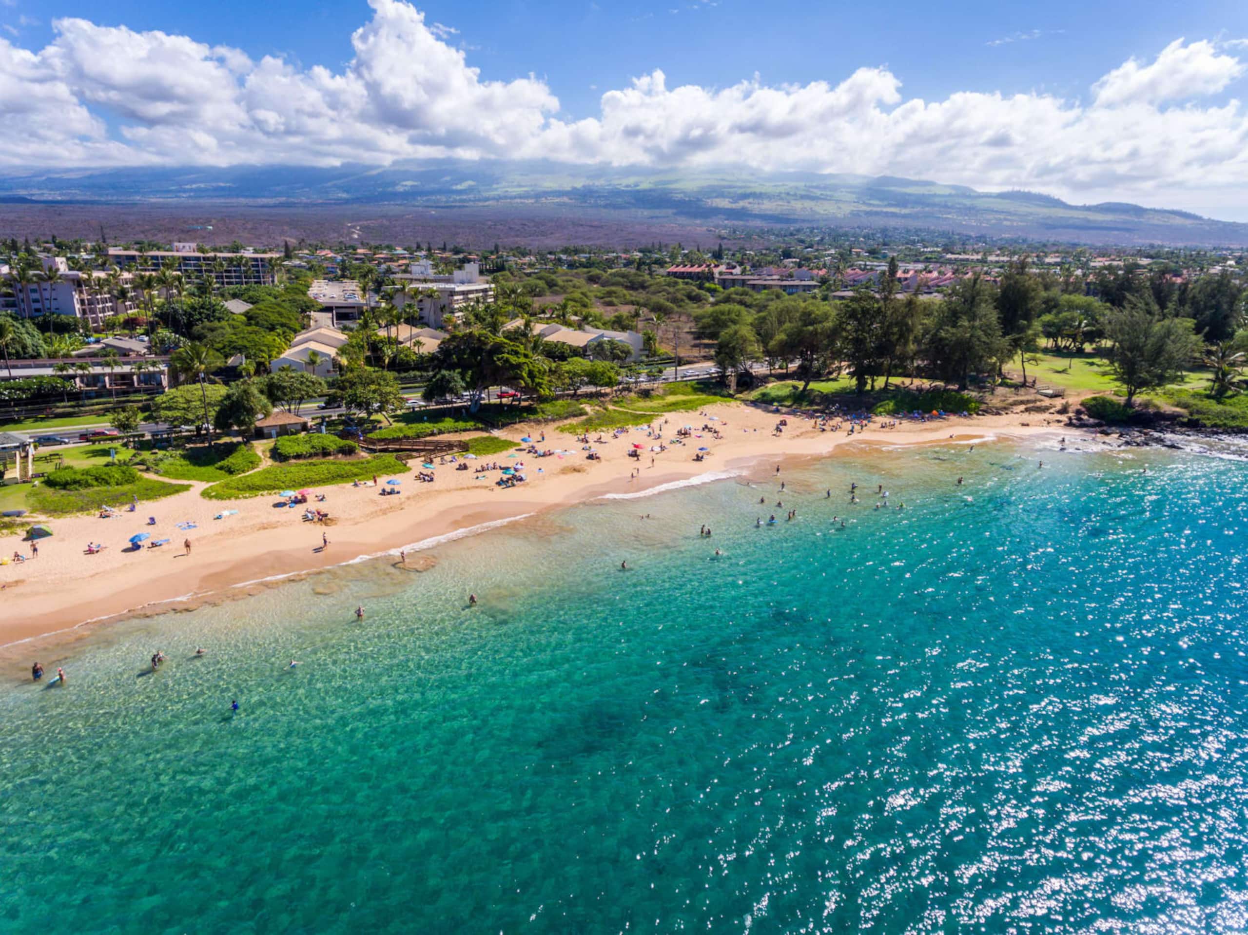 Condo in Kihei · ★4.89 · 1 bedroom · 2 beds · 1 bath - Image 23