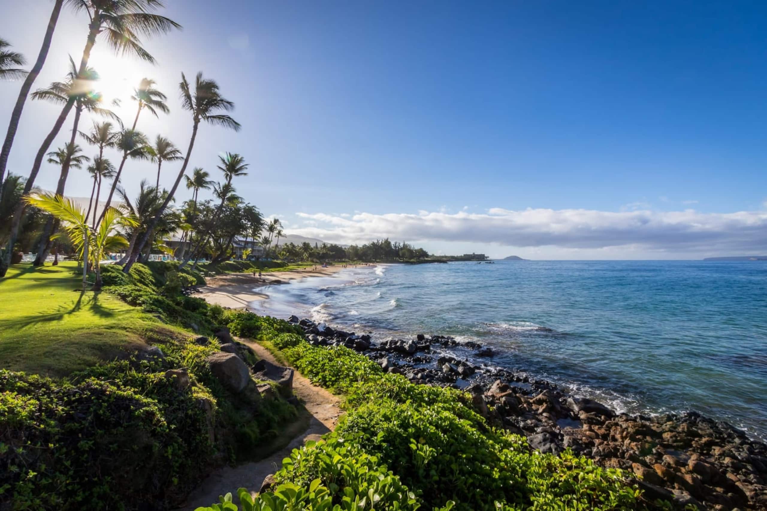 Condo in Kihei · ★4.89 · 1 bedroom · 2 beds · 1 bath - Image 25