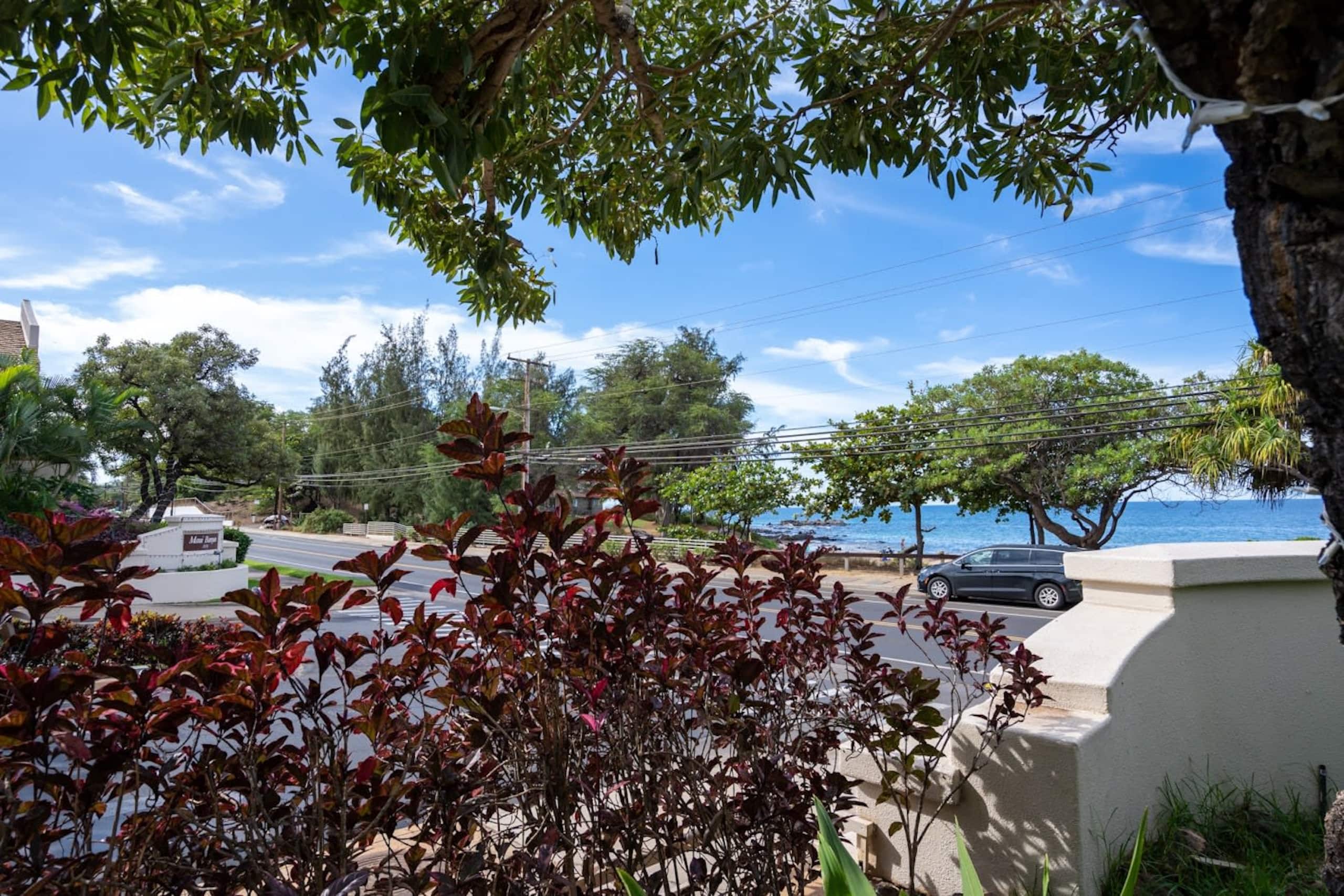 Condo in Kihei · ★4.89 · 1 bedroom · 2 beds · 1 bath - Image 34