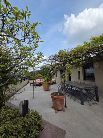 Home 12 gallery image 4