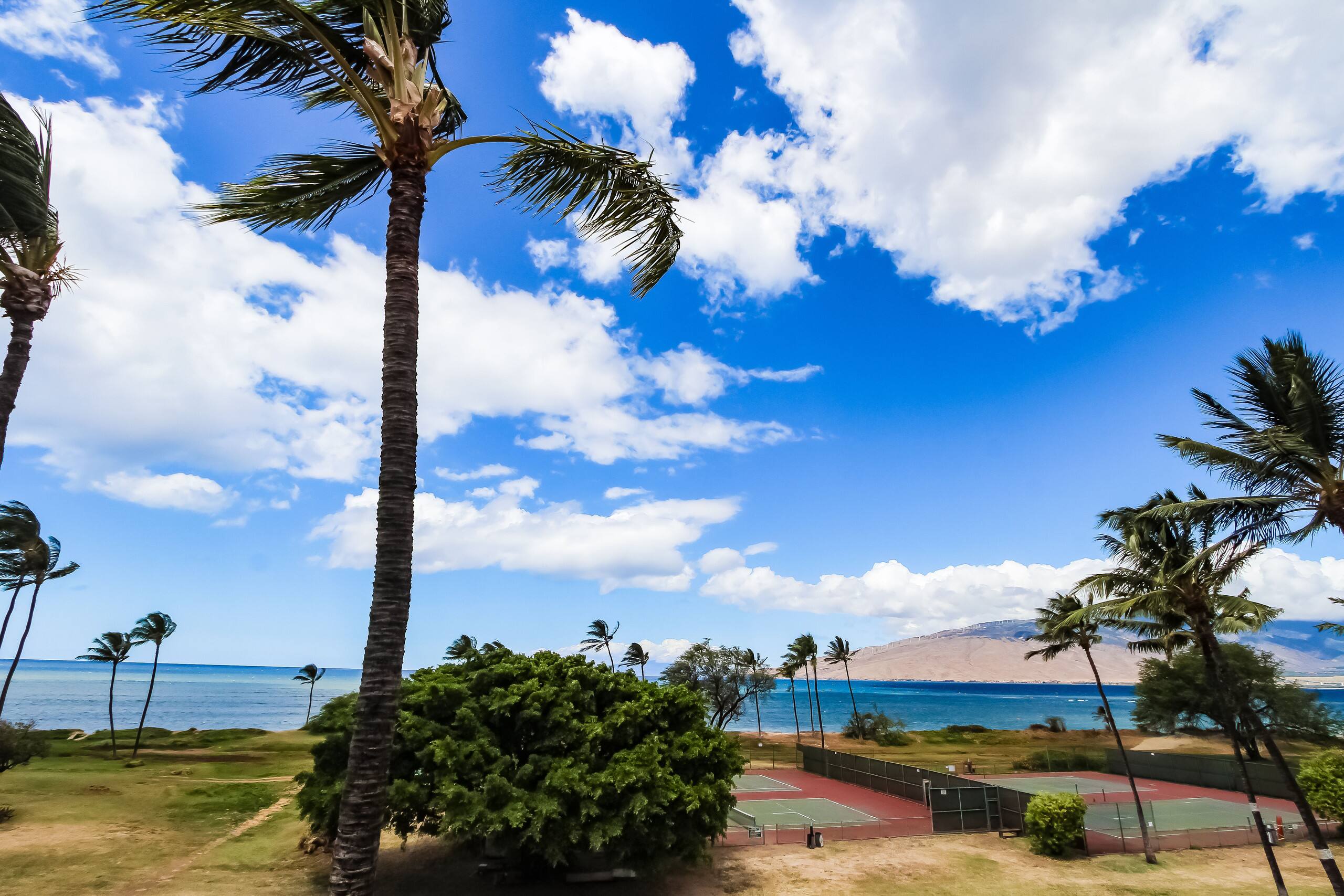 Condo in Kihei · ★4.83 · 1 bedroom · 2 beds · 1 private bath - Image 19