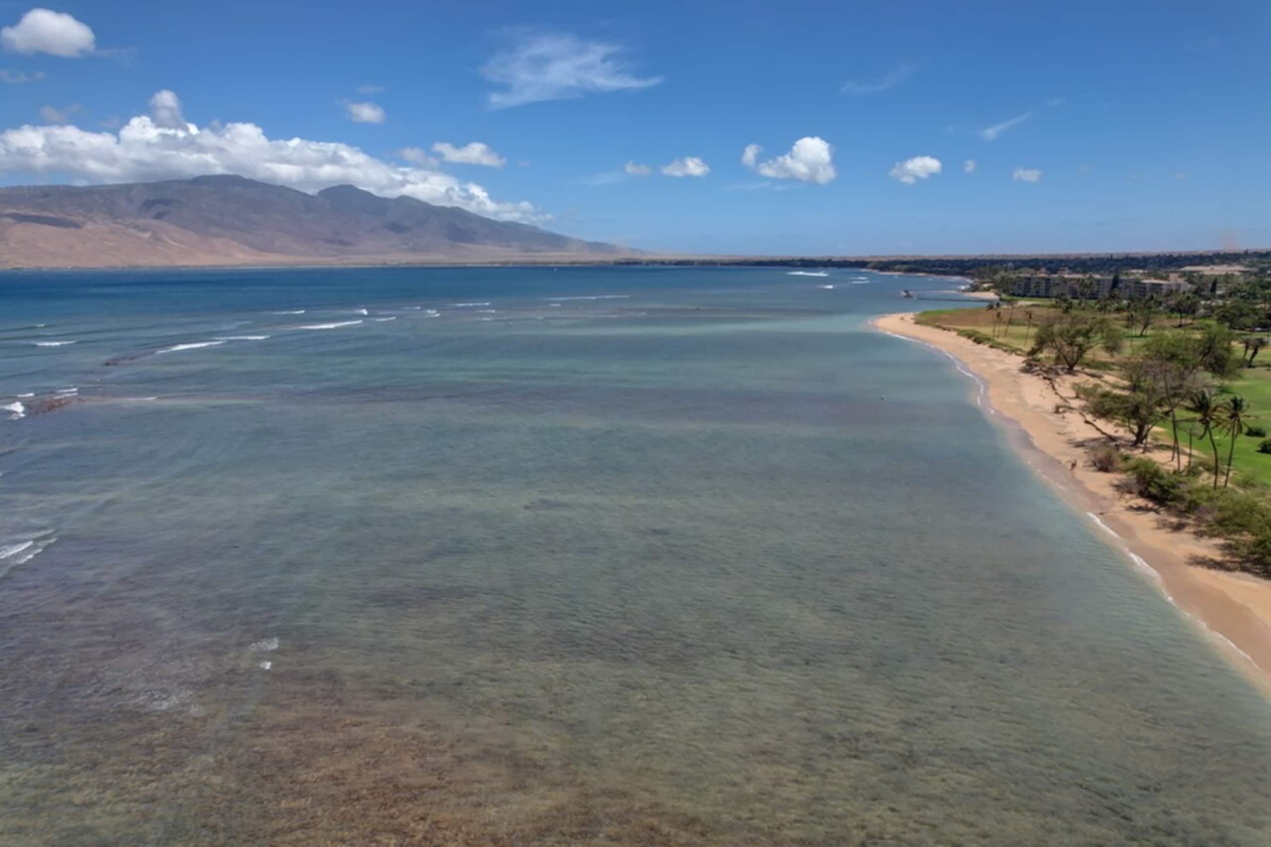 Ocean View Kihei Condo | Walk to Beach & Dining - Image 43