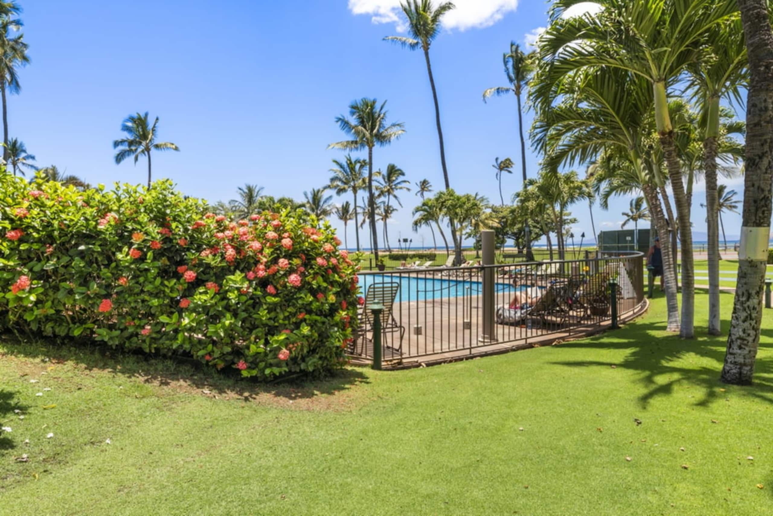 Ocean View Kihei Condo | Walk to Beach & Dining - Image 34