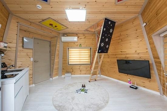 The interior space features wooden walls that add a natural touch. A small kitchen area is visible, along with a flat-screen television mounted on the wall. A ladder leads to an elevated sleeping area, and a circular rug is placed on the light-colored floor.