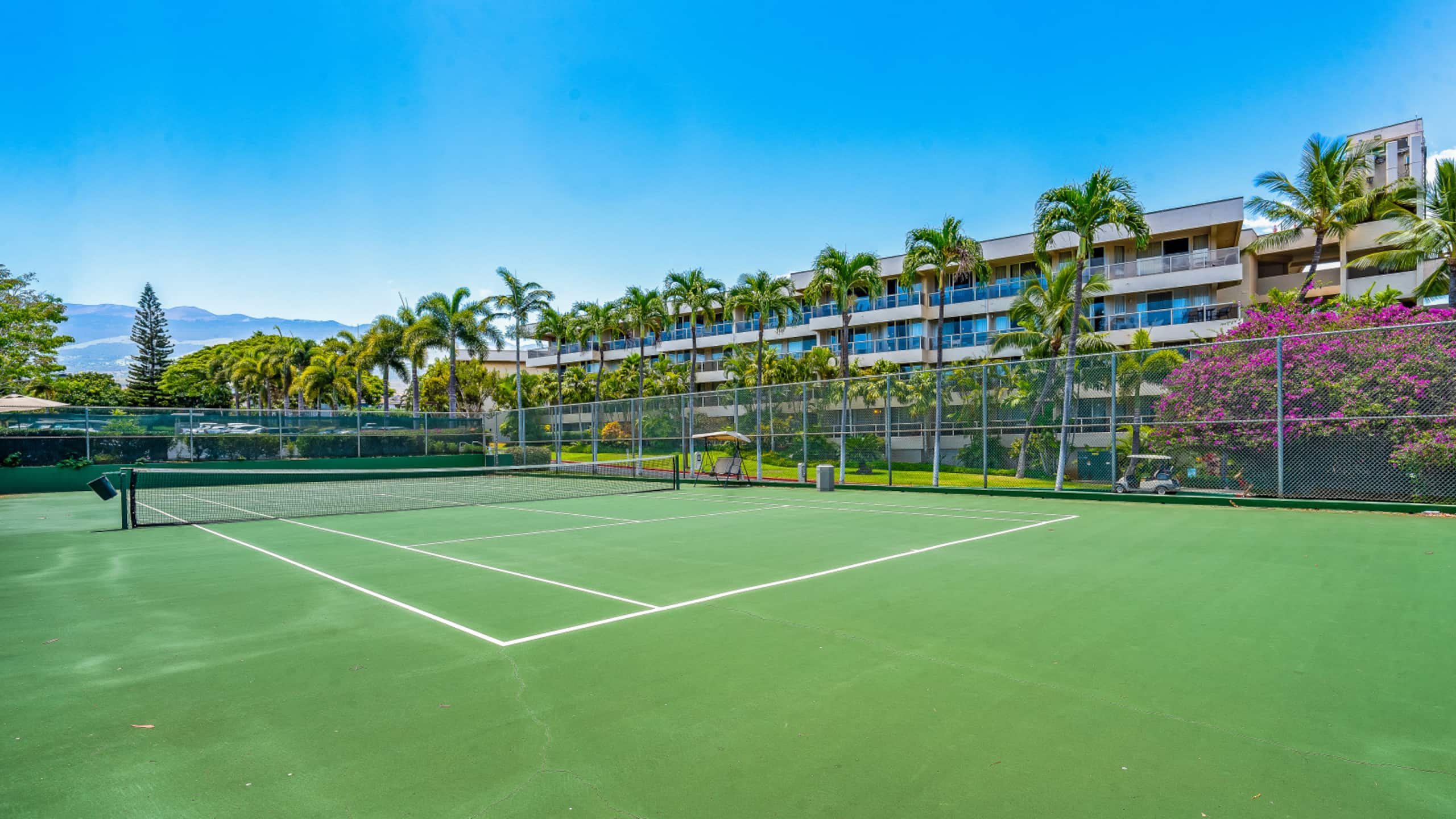 Condo in Kihei · ★4.96 · Studio · 1 bed · 1 bath - Image 17