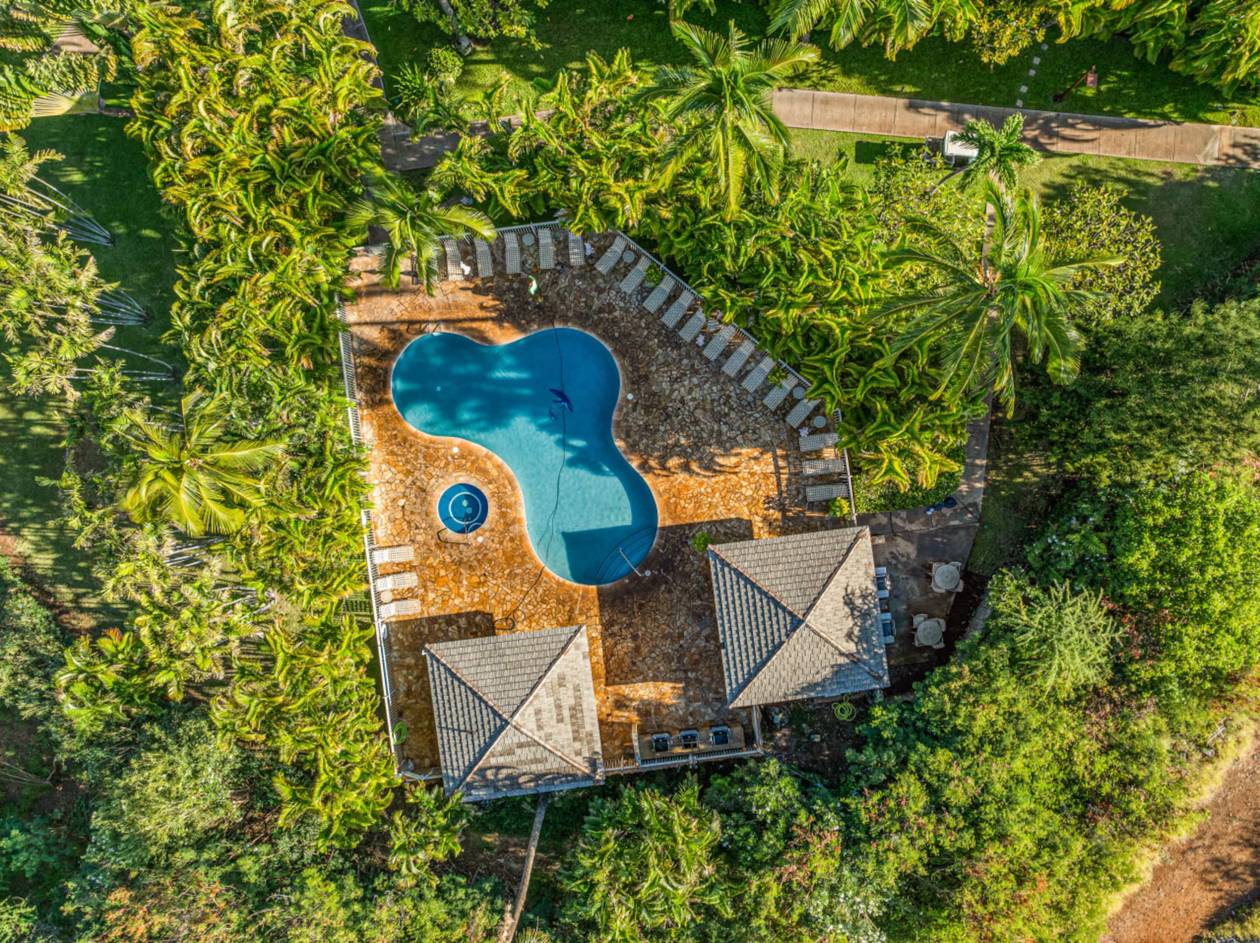 Condo in Kihei · ★4.96 · Studio · 1 bed · 1 bath - Image 18