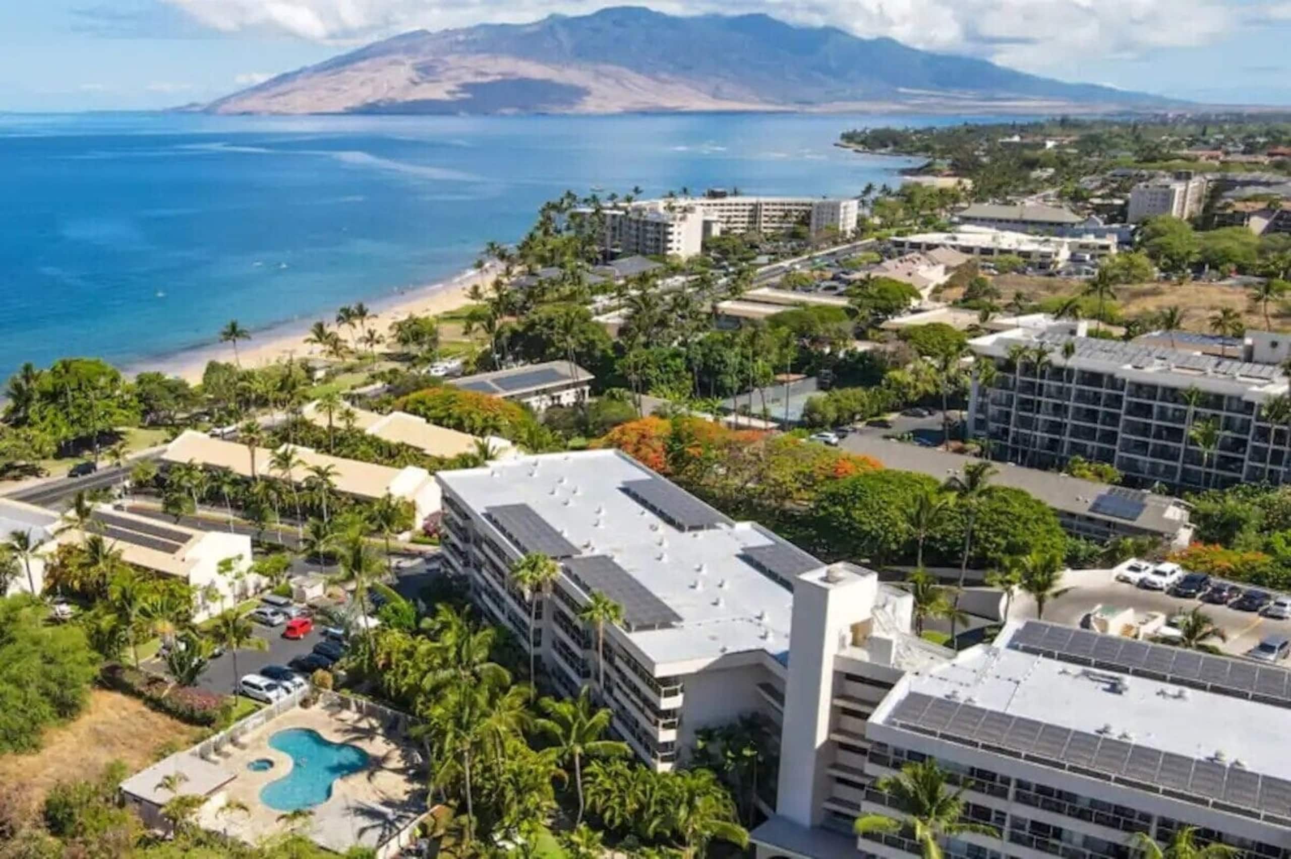 Condo in Kihei · ★4.96 · Studio · 1 bed · 1 bath - Image 8