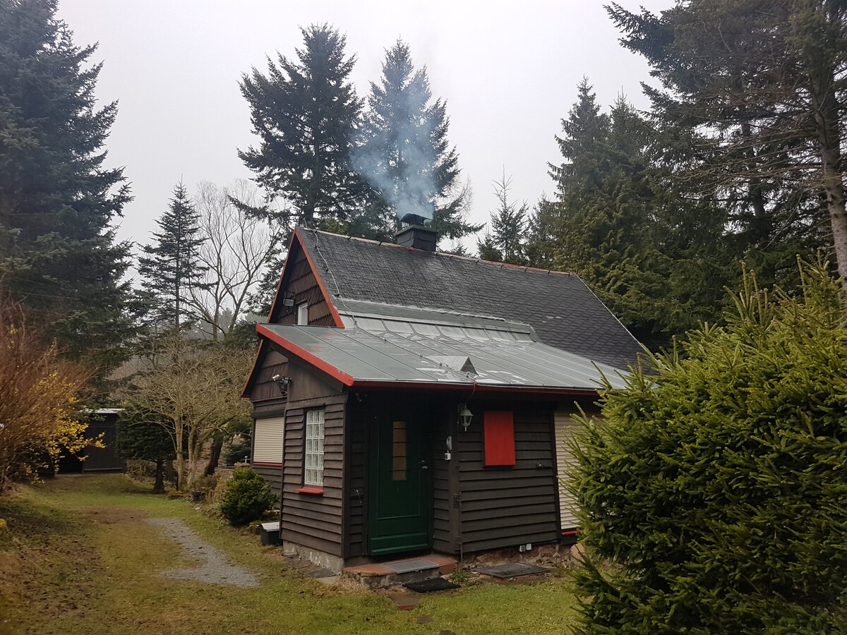 A charming wooden cottage is nestled among tall trees, with smoke gently rising from its chimney. The structure features dark wood siding and a green door, surrounded by lush greenery and a well-maintained path leading to the entrance.