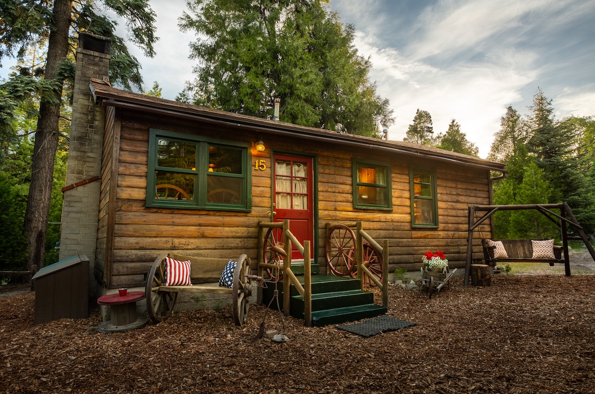 A rustic cabin exterior features wooden siding and a welcoming front porch. Brightly colored doors and windows stand out against the earthy tones. A swing hangs nearby, surrounded by lush greenery and natural landscaping, inviting guests to relax outdoors.