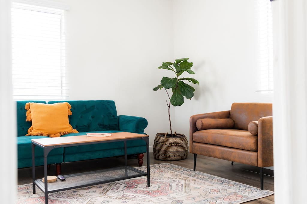 The living area features a vibrant teal sofa and a brown armchair, complemented by a natural woven planter. A simple coffee table occupies the center of the space, resting on a patterned area rug. Sunlight streams in through the window, illuminating the room.