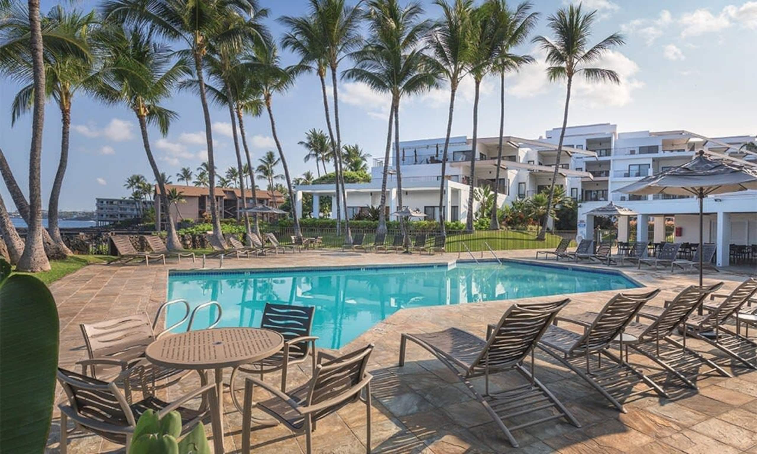 Condo in Kailua-Kona · ★5.0 · 1 bedroom · 2 beds · 1 bath - Image 17