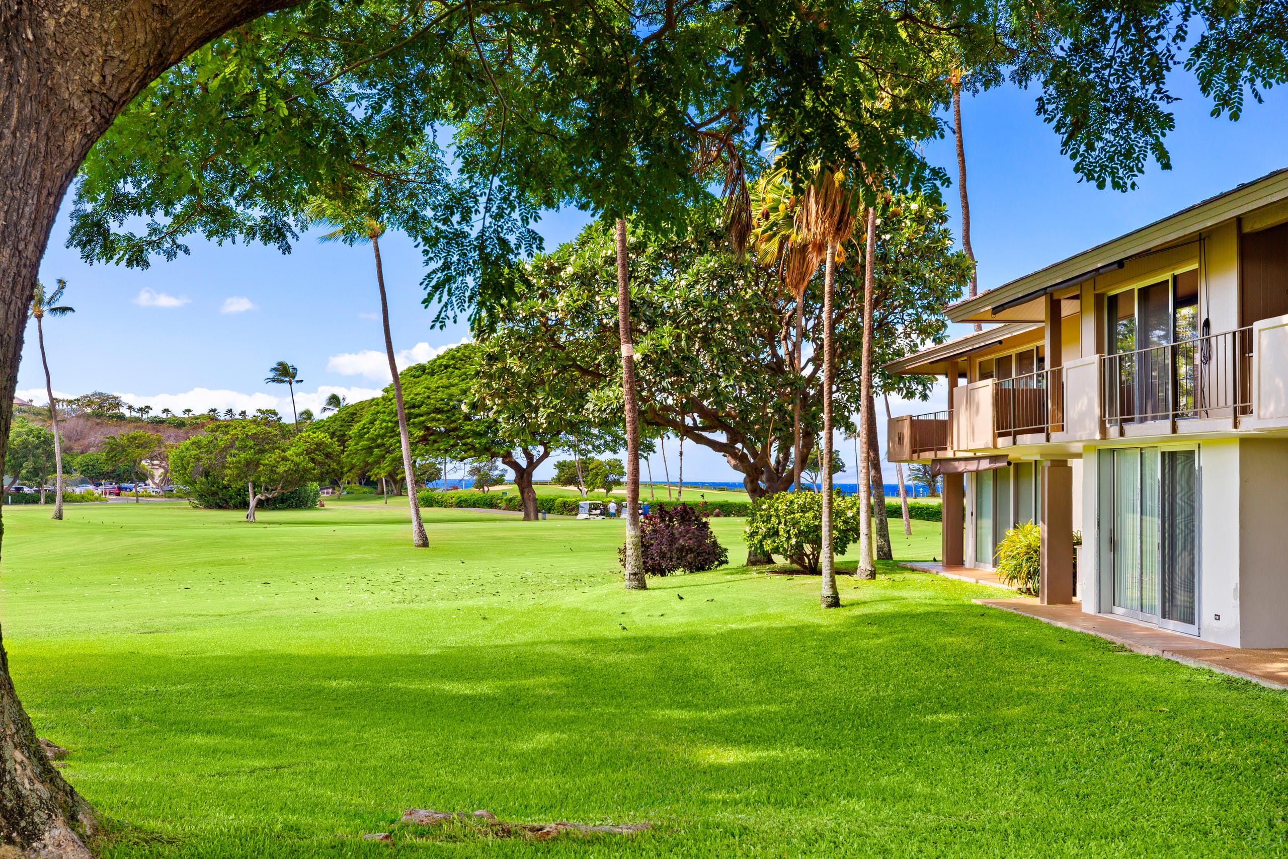Condo in Lahaina · ★4.95 · 1 bedroom · 2 beds · 1 bath - Image 32