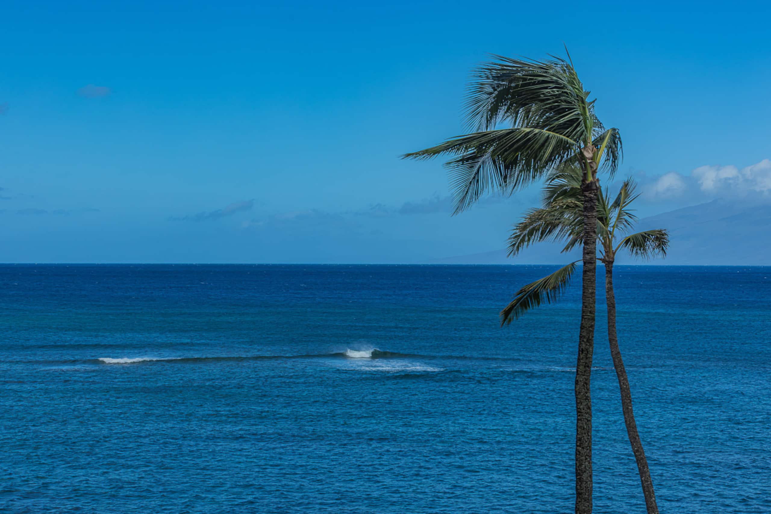 Condo in Lahaina · ★4.86 · 1 bedroom · 2 beds · 1 shared bath - Image 24