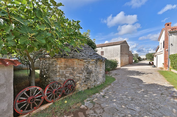 House 1378/12993 - Pula