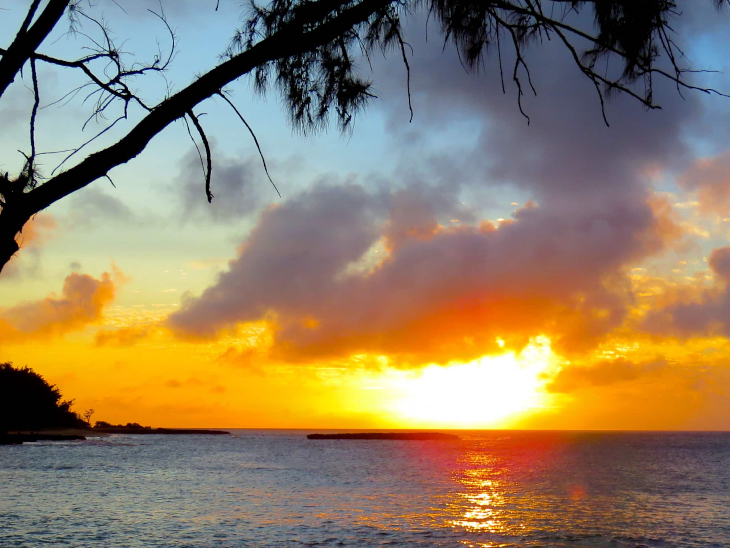 Home in Kahuku · ★4.87 · 2 bedrooms · 4 beds · 2 private baths - Image 42