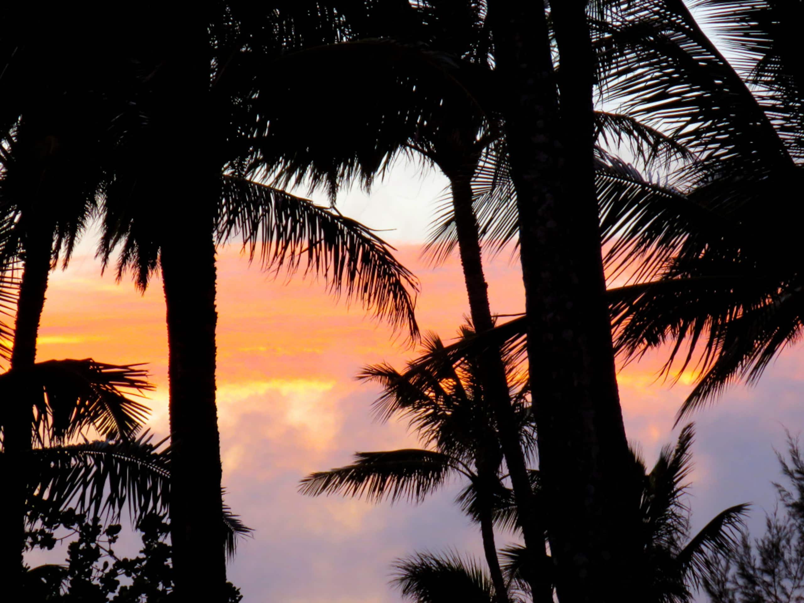 Home in Kahuku · ★4.87 · 2 bedrooms · 4 beds · 2 private baths - Image 37