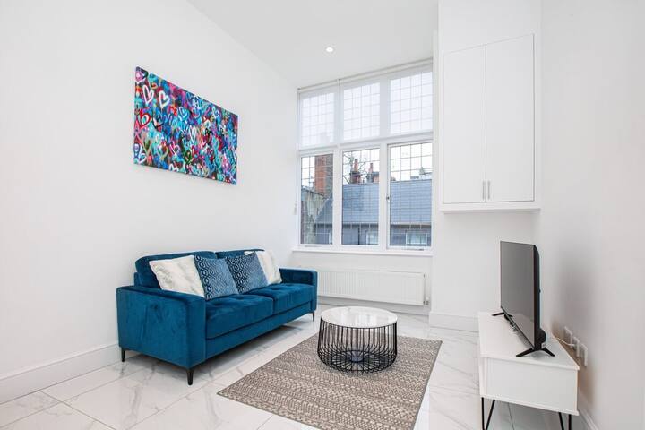 Stylish Harley Street Apartment gallery image 3