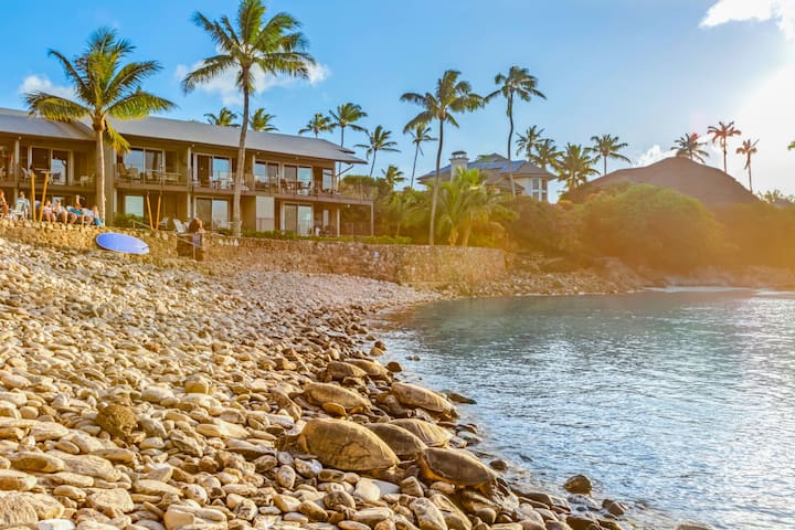 Snorkel in private cove, walk to top rated beaches