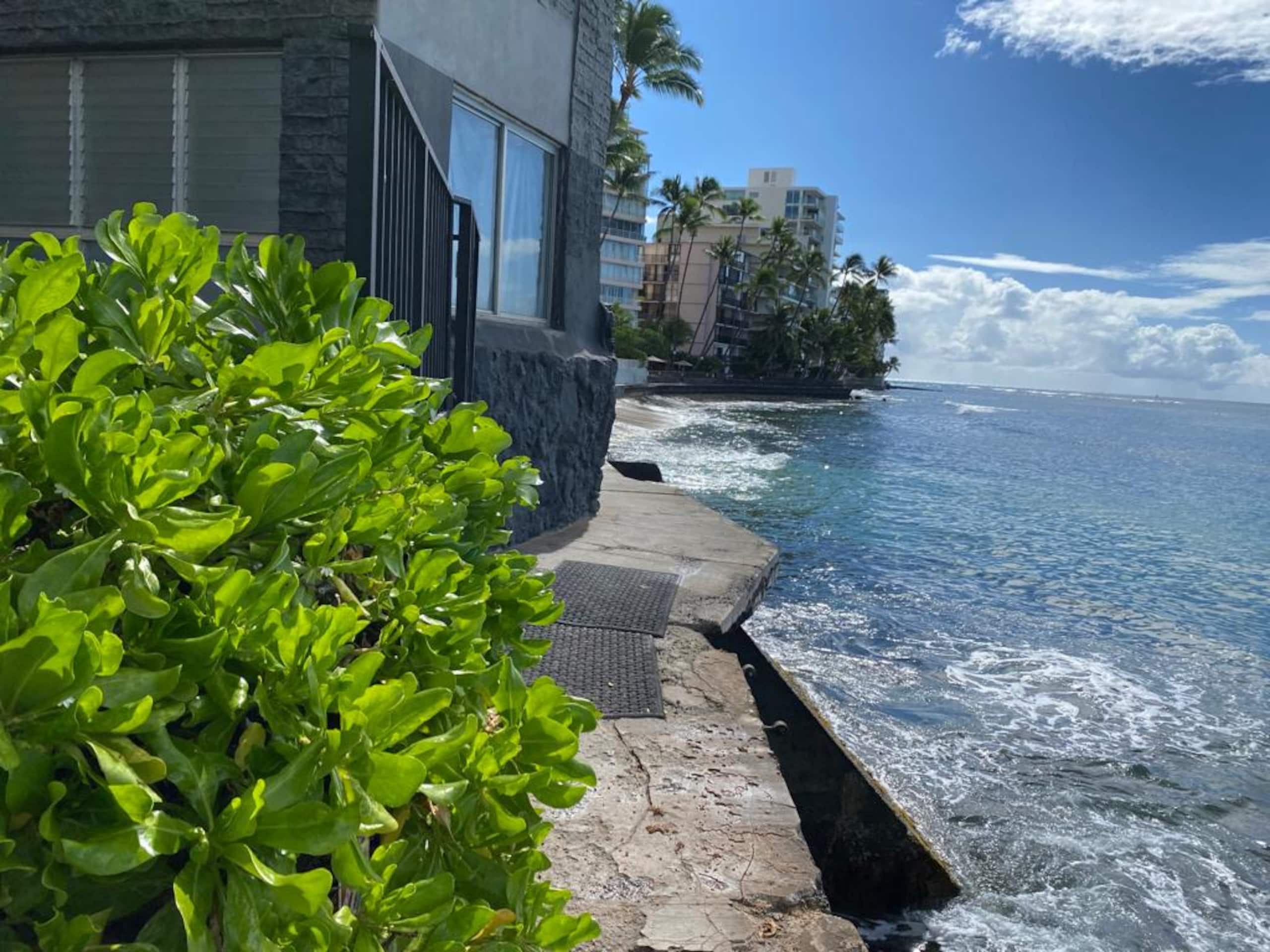 Condo in Honolulu · ★4.92 · 1 bedroom · 2 beds · 1 private bath - Image 21