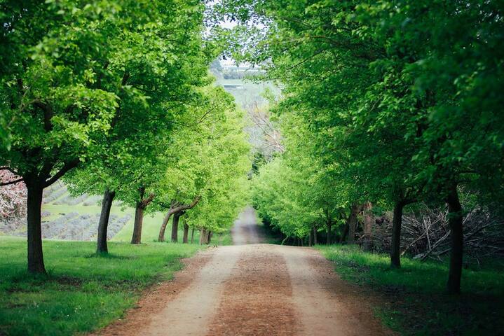 The Lakehouse gallery image 5