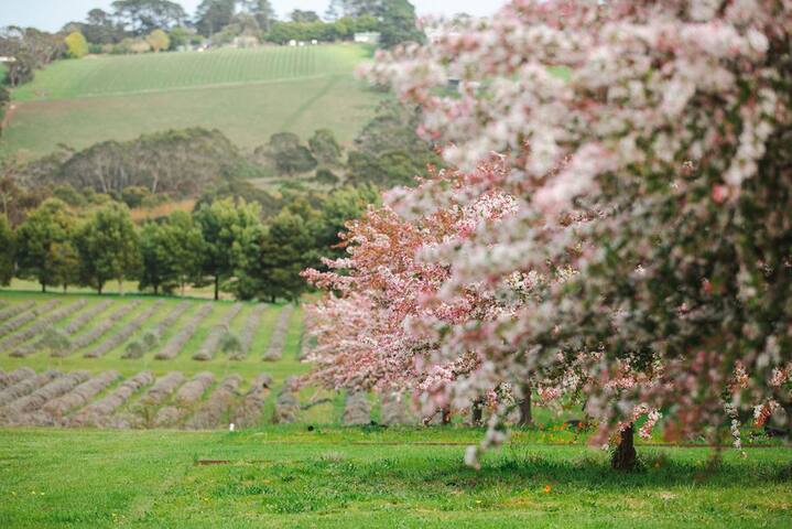 The Lakehouse gallery image 3