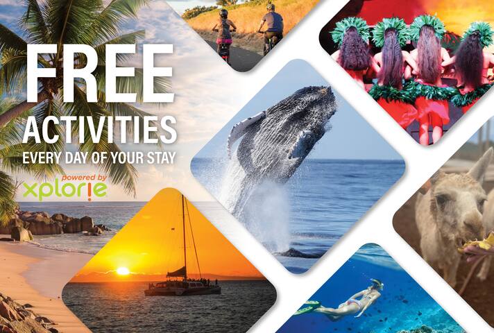 ALA 12 Remodeled 4BD Beach House w Ocean Views gallery image 5