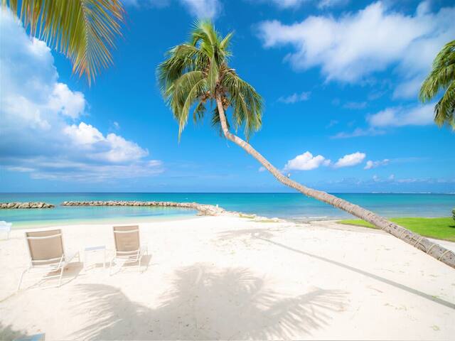 Sean J A managed Airbnb listing 1