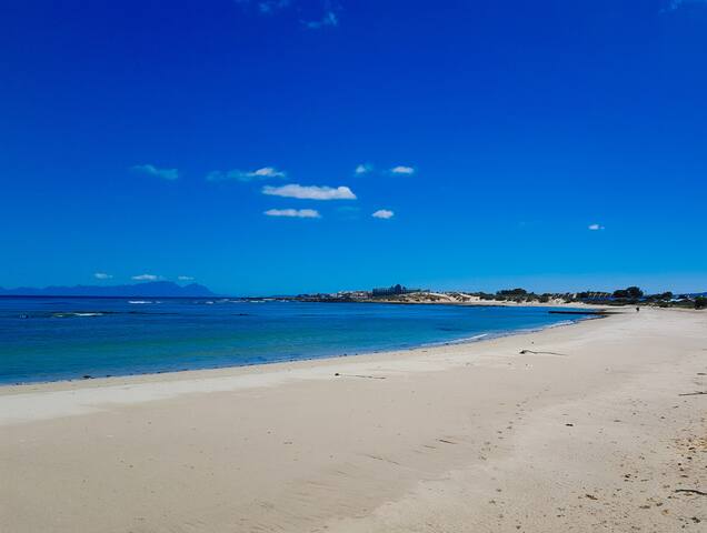 The Elephant House gallery image 2