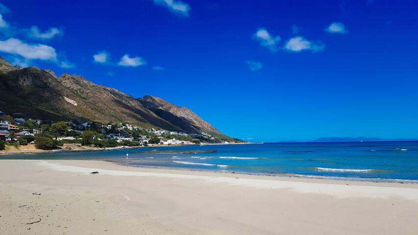 The Elephant House gallery image 3