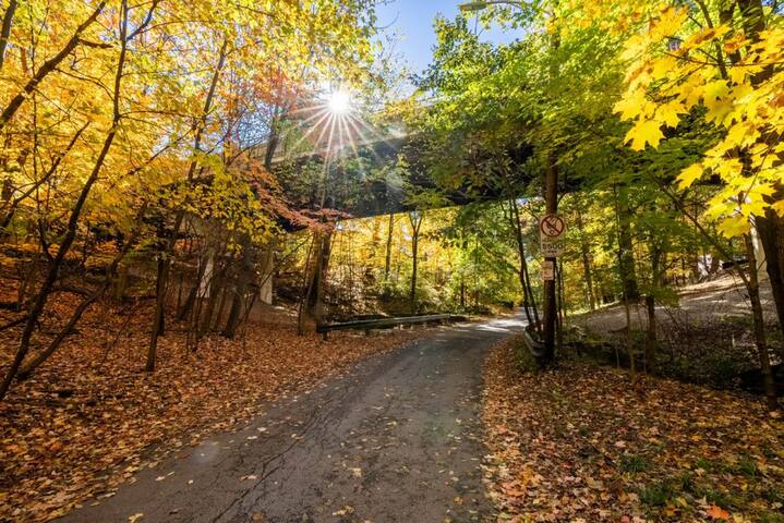 Clintonville | OSU | Entire Home gallery image 5