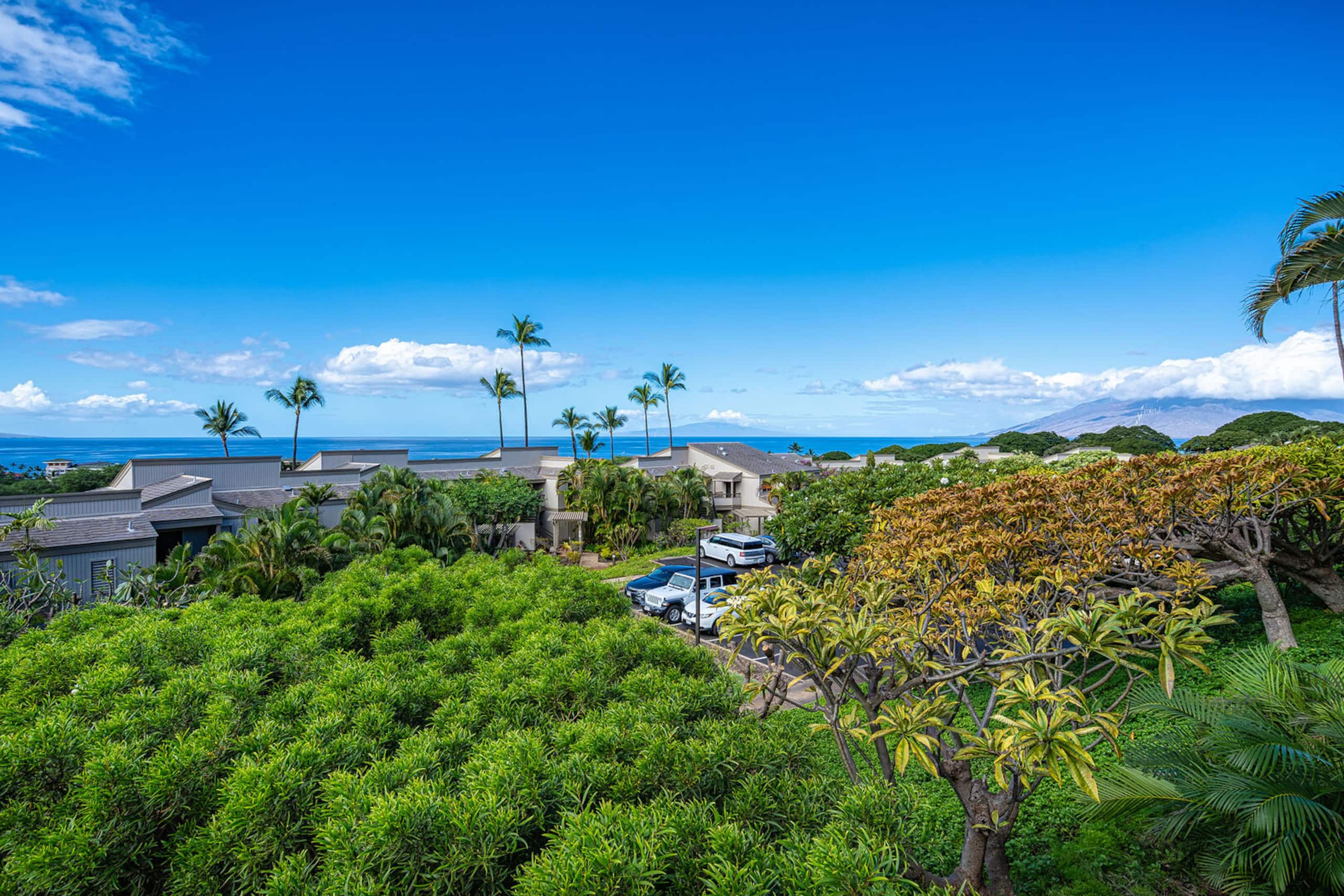 Condo in Kihei · ★5.0 · 1 bedroom · 1 bed · 2 baths - Image 23