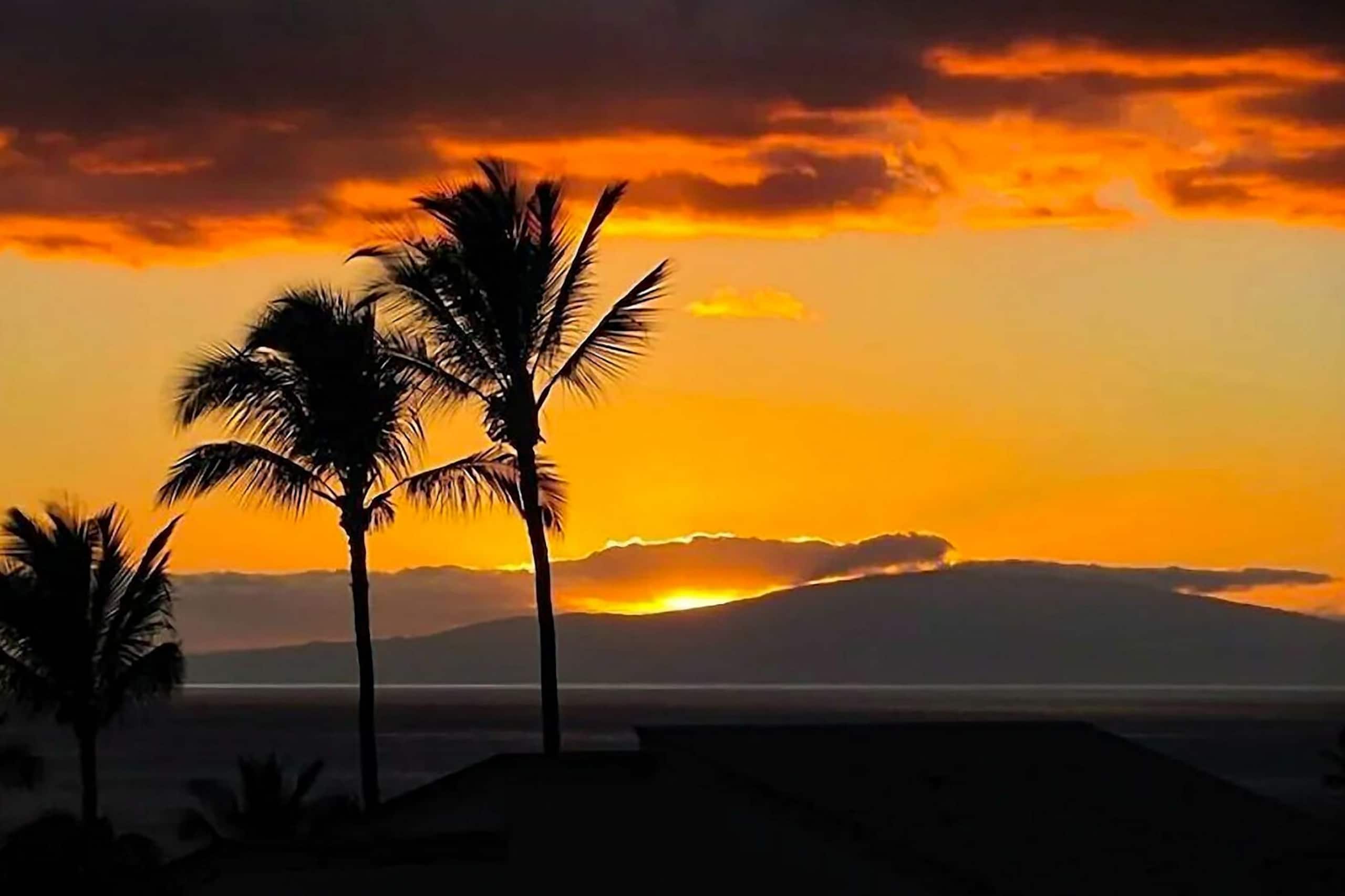 Condo in Kihei · ★5.0 · 1 bedroom · 1 bed · 2 baths - Image 1