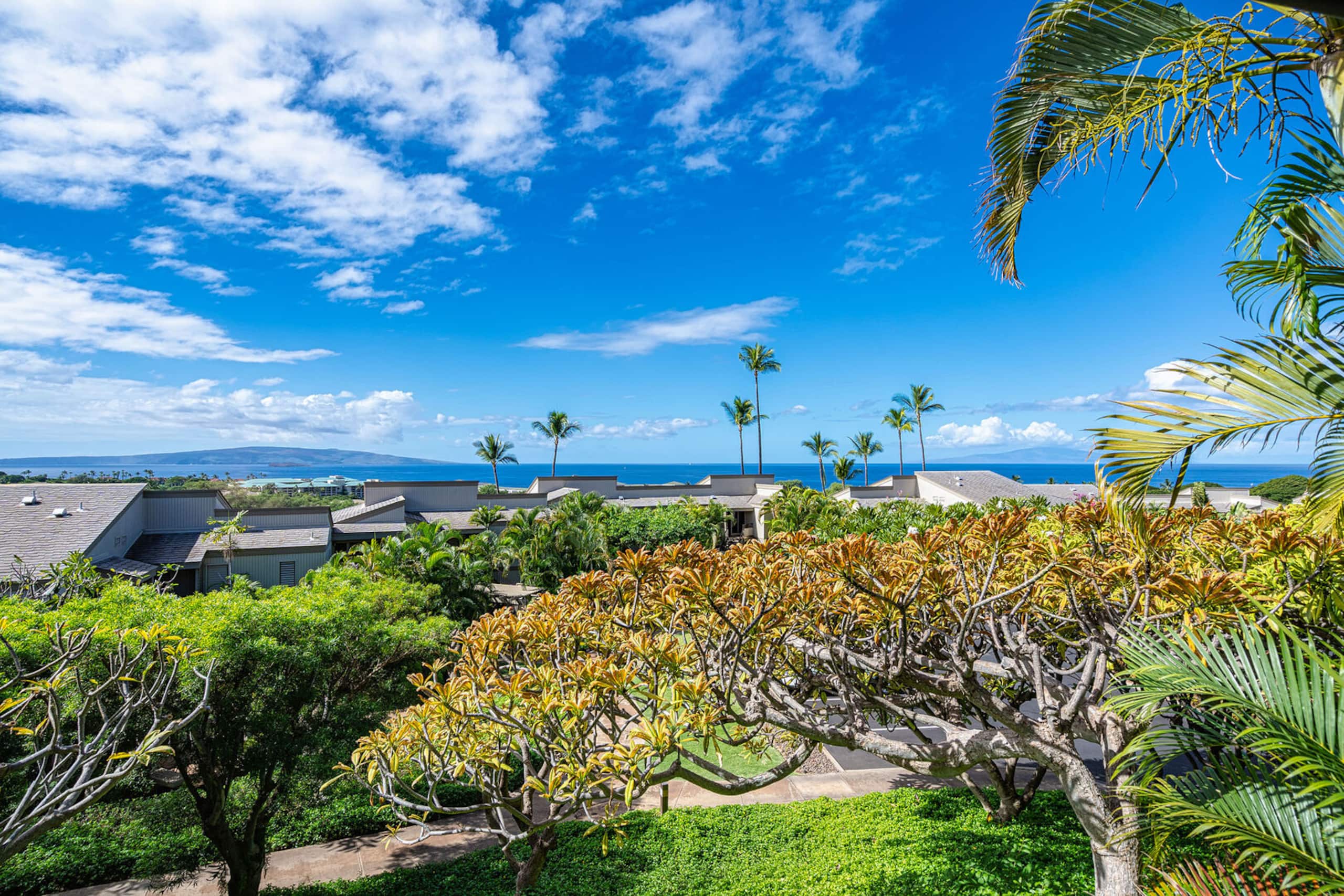 Condo in Kihei · ★5.0 · 1 bedroom · 1 bed · 2 baths - Image 31