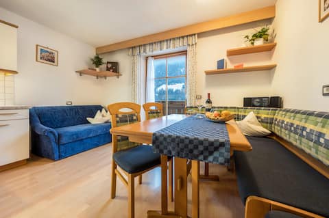 Successful Airbnb property: Niederkoflhof Düreck in Ahrntal