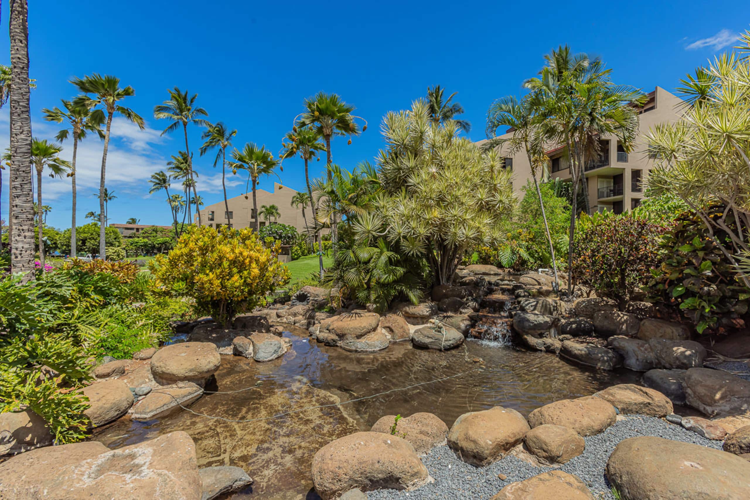 Condo in Kihei · ★4.6 · 2 bedrooms · 3 beds · 2 shared baths - Image 46