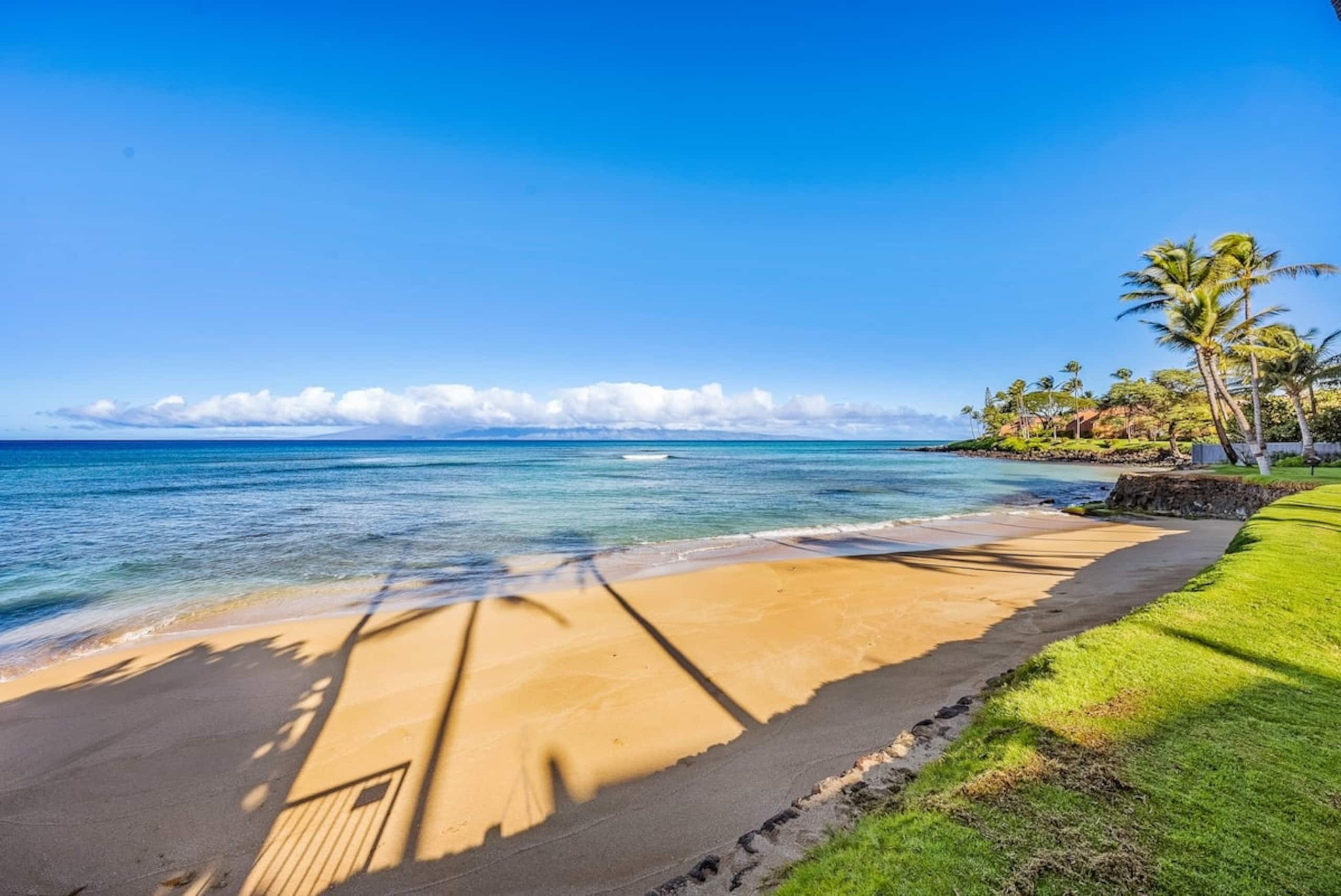 Condo in Lahaina · ★4.64 · 2 bedrooms · 2 beds · 2 baths - Image 21