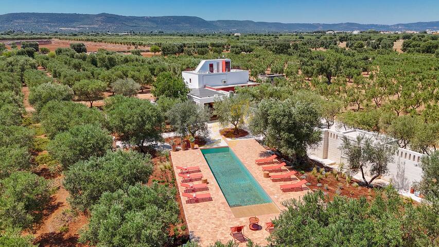 TD Lamia Porta Rossa, Countryside with Olive Trees